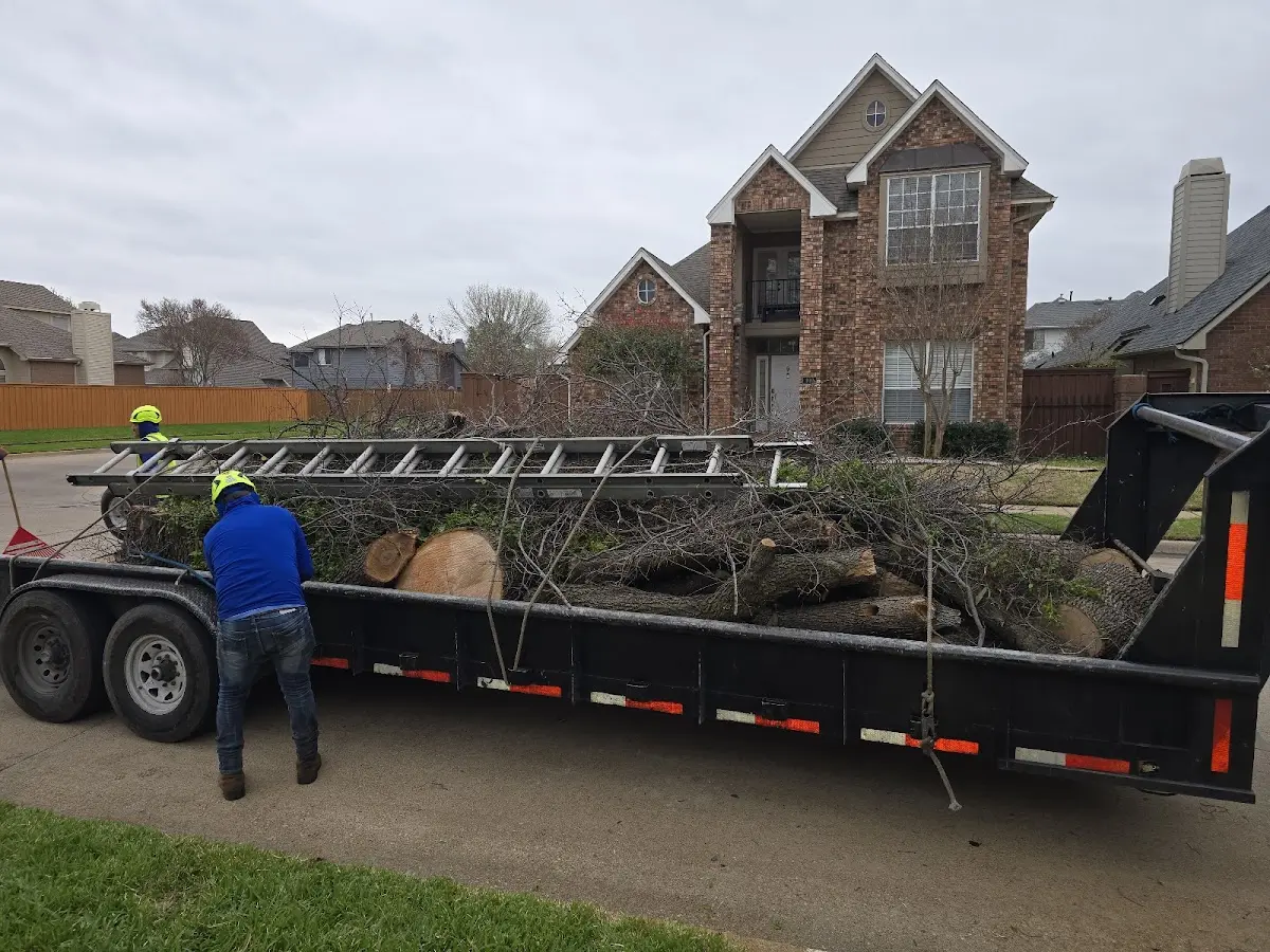 Expert Tree Fertilization with proper safety equipment in Cedar Grove